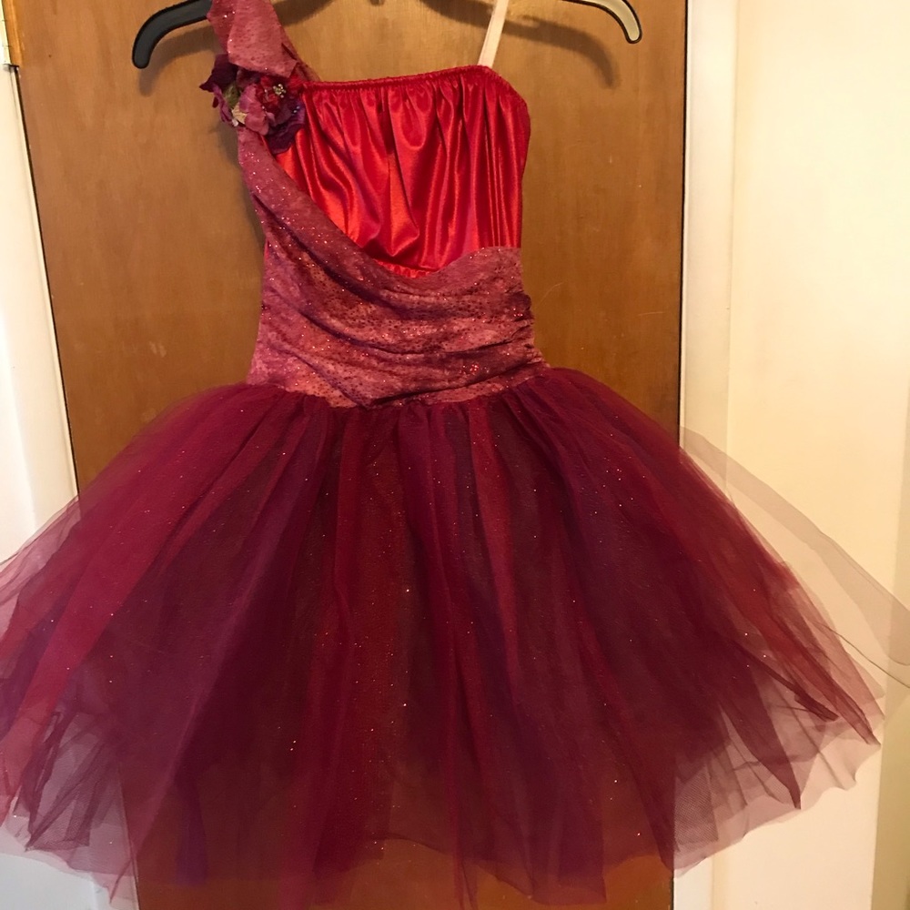 Dance costume: worn once